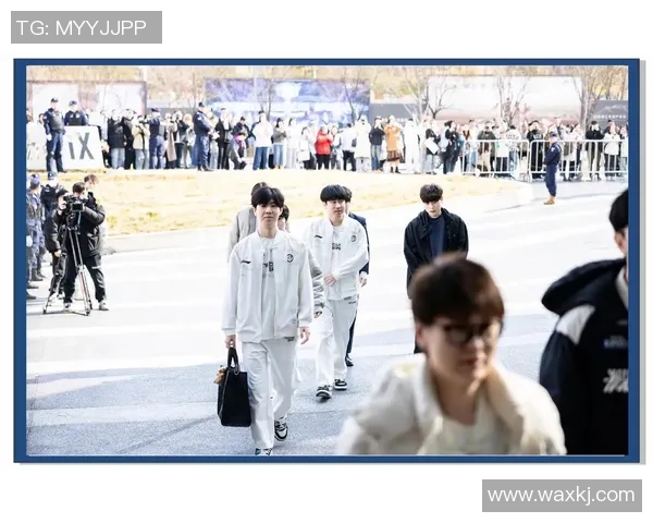 独家深度解析IG与其他战队实力对比及未来发展趋势