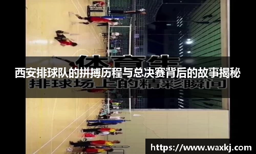 西安排球队的拼搏历程与总决赛背后的故事揭秘