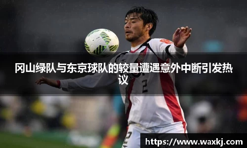 冈山绿队与东京球队的较量遭遇意外中断引发热议
